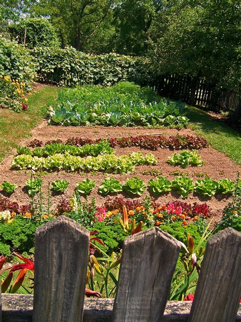 Farm garden near me - Explore Illinois farms, food and finds including travel and events, farm news and agritourism, gardening tips, recipes and more.